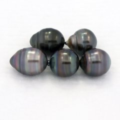 Lot of 5 Tahitian Pearls Ringed C/D from 9.4 to 9.6 mm