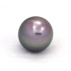 Tahitian Pearl Round B 12.6 mm