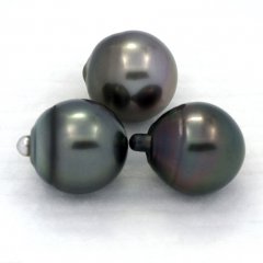 Lot of 3 Tahitian Pearls Semi-Baroque C from 12.7 to 12.9 mm