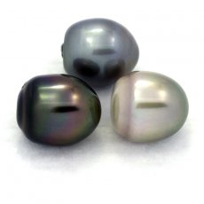 Lot of 3 Tahitian Pearls Semi-Baroque C from 12.2 to 12.4 mm
