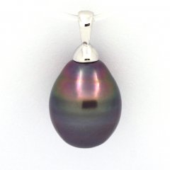 Rhodiated Sterling Silver Pendant and 1 Tahitian Pearl Ringed B 12 mm