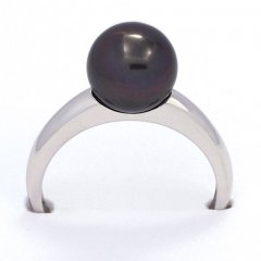 Rhodiated Sterling Silver Ring and 1 Tahitian Pearl Round B 9.2 mm