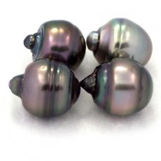 Lot of 4 Tahitian Pearls Ringed C from 13 to 13.1 mm
