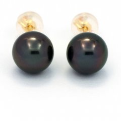 18K solid Gold Earrings and 2 Tahitian Pearls Round C 8.1 mm