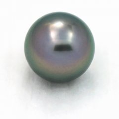 Tahitian Pearl Round B 10.3 mm