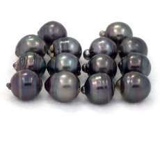 Lot of 14 Tahitian Pearls Ringed D from 12.5  12.9 mm