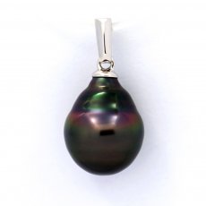 Rhodiated Sterling Silver Pendant and 1 Tahitian Pearl Ringed B 10 mm