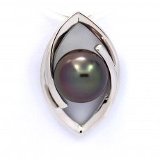 Rhodiated Sterling Silver Pendant and 1 Tahitian Pearl Round C 8.9 mm