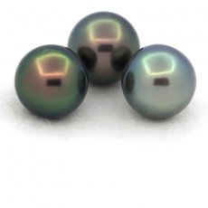 Lot of 3 Tahitian Pearls Round C from 11 to 11.2 mm