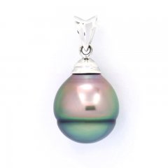 Rhodiated Sterling Silver Pendant and 1 Tahitian Pearl Ringed C 11.4 mm