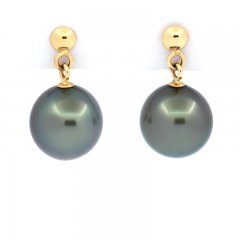 18k solid Gold Earrings and 2 Tahitian Pearls Near-Round B 8.2 mm