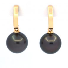 18K solid Gold Earrings and 2 Tahitian Pearls Round B 9.5 mm