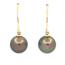 18K solid Gold Earrings and 2 Tahitian Pearls Round B 9.6 mm