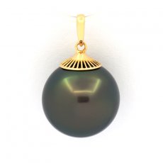 18K solid Gold Pendant and 1 Tahitian Pearl Near Round B 13.8 mm