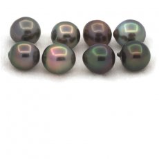 Lot of 8 Tahitian Pearls Semi-Baroque C from 8.5 to 8.9 mm