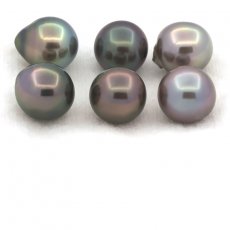Lot of 6 Tahitian Pearls Semi-Baroque C from 9.7 to 9.9 mm