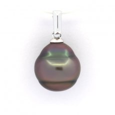 Rhodiated Sterling Silver Pendant and 1 Tahitian Pearl Ringed C 10.7 mm