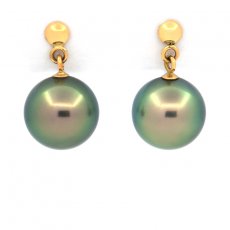 18K solid Gold Earrings and 2 Tahitian Pearls Round B 8.9 mm