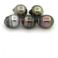 Lot of 5 Tahitian Pearls Ringed C from 9.4 to 9.9 mm
