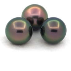 Lot of 3 Tahitian Pearls Near-Round C from 11 to 11.3 mm