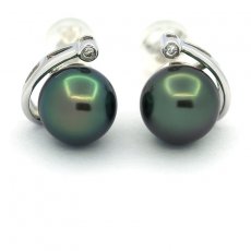 Rhodiated Sterling Silver Earrings and 2 Tahitian Pearls Round C+ 9.3 mm
