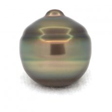Tahitian Pearl Ringed C 14.7 mm
