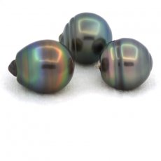 Lot of 3 Tahitian Pearls Ringed C from 13 to 13.2 mm
