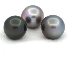 Lot of 3 Tahitian Pearls Semi-Baroque C from 12.4 to 12.6 mm