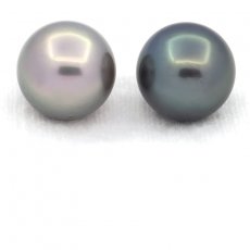 Lot of 2 Tahitian Pearls Round C/D 13.5 mm