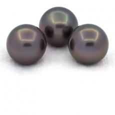 Lot of 3 Tahitian Pearls Near-Round C from 12.6 to 12.8 mm