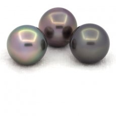 Lot of 3 Tahitian Pearls Near-Round C from 12.7 to 12.8 mm