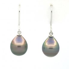 Rhodiated Sterling Silver Earrings and 2 Tahitian Pearls Ringed B/C 10 mm