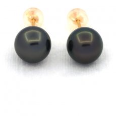 18K solid Gold Earrings and 2 Tahitian Pearls Round C 9 mm