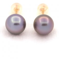 18K solid Gold Earrings and 2 Tahitian Pearls Round B 9.1 mm