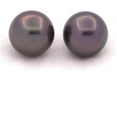 Lot of 2 Tahitian Pearls Round C 11.9 mm