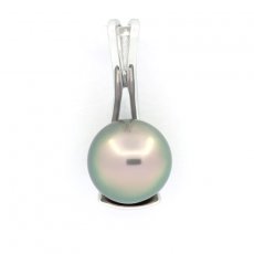 Rhodiated Sterling Silver Pendant and 1 Tahitian Pearl Round C 9.3 mm