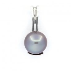 Rhodiated Sterling Silver Pendant and 1 Tahitian Pearl Round C 9.8 mm