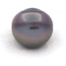 Tahitian Pearl Ringed C 13.6 mm