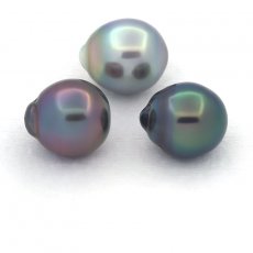 Lot of 3 Tahitian Pearls Semi-Baroque C from 11 to 11.4 mm