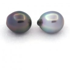 Lot of 2 Tahitian Pearls Semi-Baroque C 11.1 and 11.2 mm
