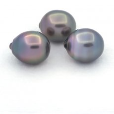 Lot of 3 Tahitian Pearls Semi-Baroque B/C from 11 to 11.4 mm