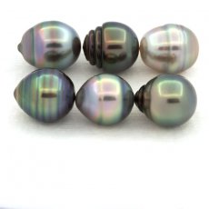 Lot of 6 Tahitian Pearls Ringed B from 9.1 to 9.4 mm