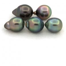 Lot of 5 Tahitian Pearls Ringed B from 8.3 to 8.9 mm