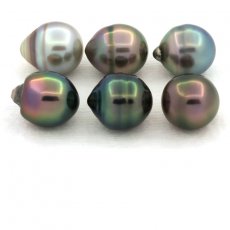 Lot of 6 Tahitian Pearls Ringed B from 9.6 to 9.8 mm