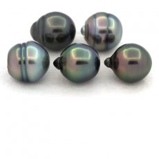 Lot of 5 Tahitian Pearls Ringed B from 10 to 10.4 mm