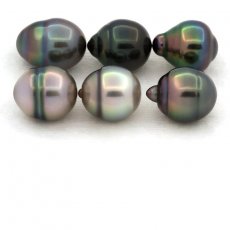 Lot of 6 Tahitian Pearls Ringed B from 9.7 to 9.9 mm