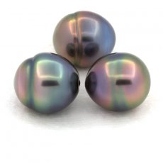 Lot of 3 Tahitian Pearls Ringed C from 10 to 10.4 mm