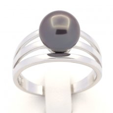 Rhodiated Sterling Silver Ring and 1 Tahitian Pearl Round C 9 mm