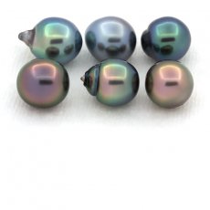 Lot of 6 Tahitian Pearls Semi-Baroque C+ from 8.5 to 8.9 mm