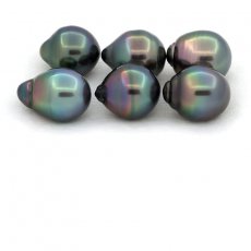 Lot of 6 Tahitian Pearls Ringed B from 10 to 10.4 mm